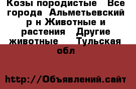 Козы породистые - Все города, Альметьевский р-н Животные и растения » Другие животные   . Тульская обл.